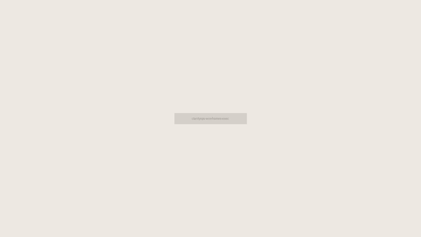 Executive journey wireframes